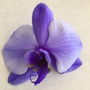 Meet your Posher, Sandi